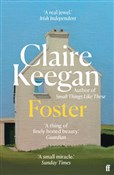 Foster - Claire Keegan -  polnische Bücher