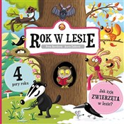 Rok w lesi... - Petra Bartíková, Aneta Žabková -  polnische Bücher
