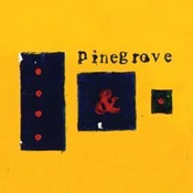 Everything... - Pinegrove - Ksiegarnia w niemczech