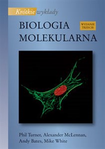 Obrazek Krótkie wykłady Biologia molekularna