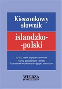 Polska książka : Słownik ki... - Viktor Mandrik