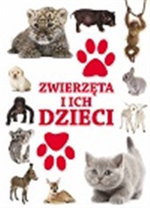 Bild von Zwierzęta i ich dzieci