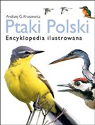 Ptaki Pols... - Andrzej G. Kruszewicz -  fremdsprachige bücher polnisch 