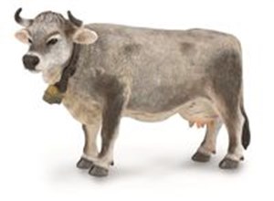 Obrazek Tyrolska krowa szara