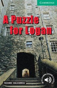 Bild von A Puzzle for Logan Level 3
