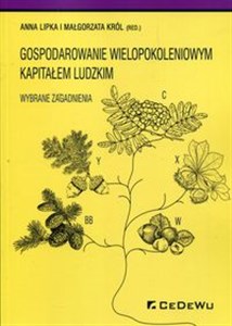 Obrazek Gospodarowanie wielopokoleniowym kapitałem ludzkim Wybrane zagadnienia