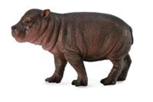 Obrazek Hipopotam karłowaty młode S