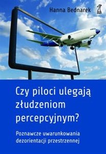 Obrazek Czy piloci ulegają złudzeniom percepcyjnym? Poznawcze uwarunkowania dezorientacji przestrzennej u pilotów