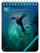 Kołonotes ... - buch auf polnisch 