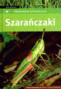 Bild von Szarańczaki Łatwe oznaczanie gatunków z Europy Środkowej