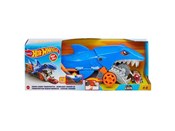 Hot Wheels... -  polnische Bücher