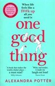 One Good T... - Alexandra Potter -  fremdsprachige bücher polnisch 