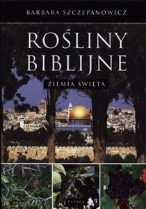 Obrazek Rośliny biblijne Ziemia Święta