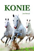 Konie - Jon Stroud -  Książka z wysyłką do Niemiec 