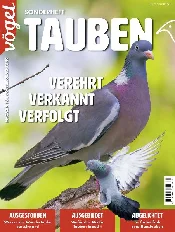 Zobacz : TAUBEN