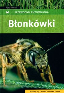 Obrazek Błonkówki Przewodnik entomologa