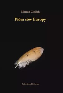 Bild von Pióra sów Europy