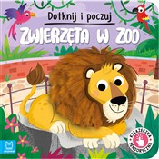 Dotknij i ... - Grażyna Wasilewicz -  fremdsprachige bücher polnisch 