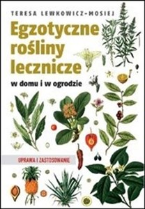 Obrazek Egzotyczne rośliny lecznicze w domu i w ogrodzie