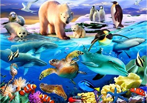 Bild von Puzzle 1000 Ocean pełen życia