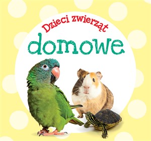 Bild von Dzieci zwierząt - domowe