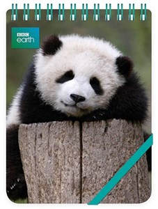 Obrazek Kołonotes ozdobny Giant Panda Baby