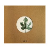 Zobacz : Notes B5/8...