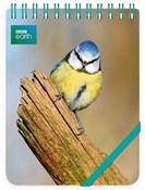 Kołonotes ... -  polnische Bücher