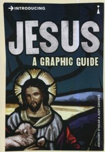 Bild von Introducing Jesus A Graphic Guide