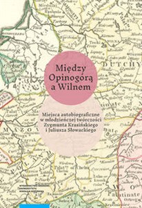 Bild von Między Opinogórą a Wilnem