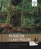 Puszcze i ... - Ewa Kwiecień, Dorota Zawadzka -  fremdsprachige bücher polnisch 