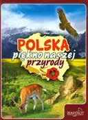 Polska książka : Polska pię... - Ilona Jarosz