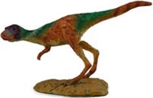 Bild von Dinozaur Juvenile M