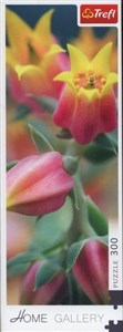 Bild von Puzzle Kwiaty w rozkwicie 300