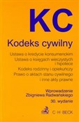 Kodeks cyw... - Zbigniew Radwański -  fremdsprachige bücher polnisch 
