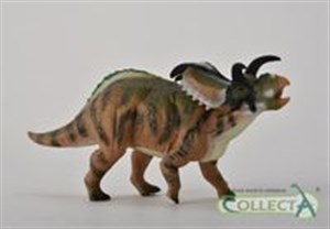 Bild von Dinozaur Medusaceratops L