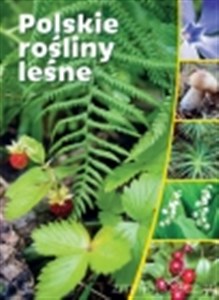 Bild von Polskie rośliny leśne