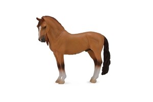 Bild von Koń Campolina Stallion Red Dun