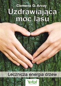 Obrazek Uzdrawiająca moc lasu