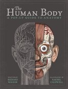 Książka : The Human ... - Richard Walker