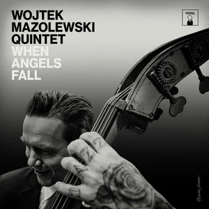 Bild von When Angels Fall