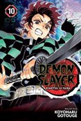 Demon Slay... - Gotouge Koyoharu -  fremdsprachige bücher polnisch 