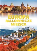 Polska książka : Europa mal... - opracowanie zbiorowe