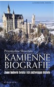 Polska książka : Kamienne b... - Przemysław Słowiński