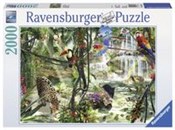 Puzzle Świ... -  polnische Bücher