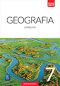 Geografia ... - Arkadiusz Głowacz, Maciej Lechowicz, Piotr Stankiewicz -  polnische Bücher
