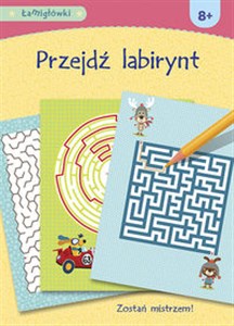 Obrazek Łamigłówki Przejdź labirynt