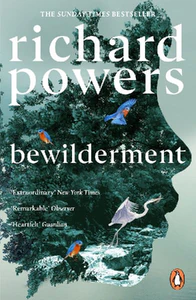 Bild von POWERS, R: BEWILDERMENT
