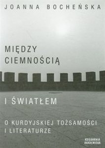 Bild von Między ciemnością a światłem O kurdyjskiej tożsamości i literaturze