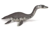 Plesiosaur... -  fremdsprachige bücher polnisch 